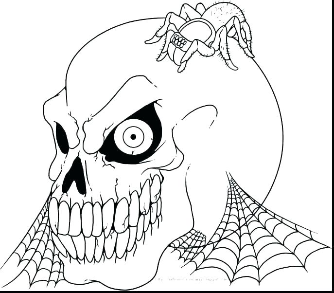 687x602 Skull Coloring Pages Anatomy Free Anatomy Coloring Pages Anatomy
