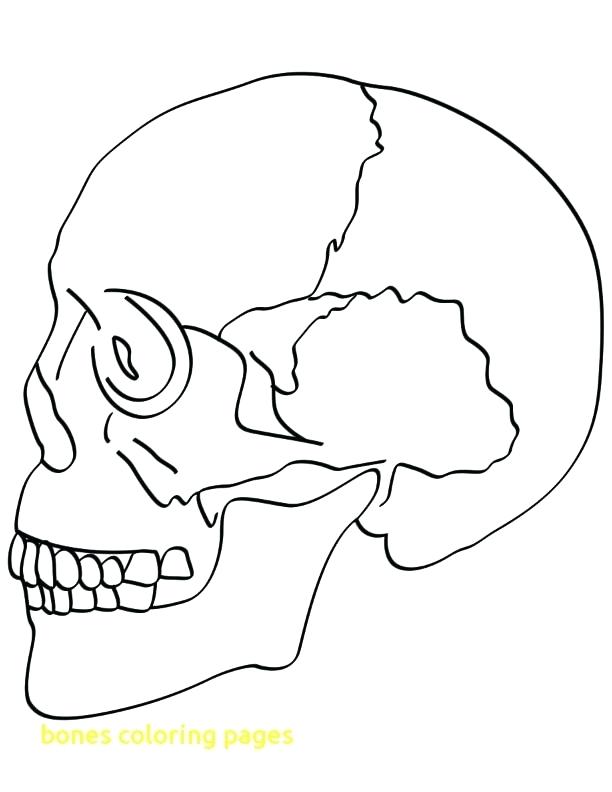 612x792 Skull And Crossbones Coloring Pages Bones Coloring Pages