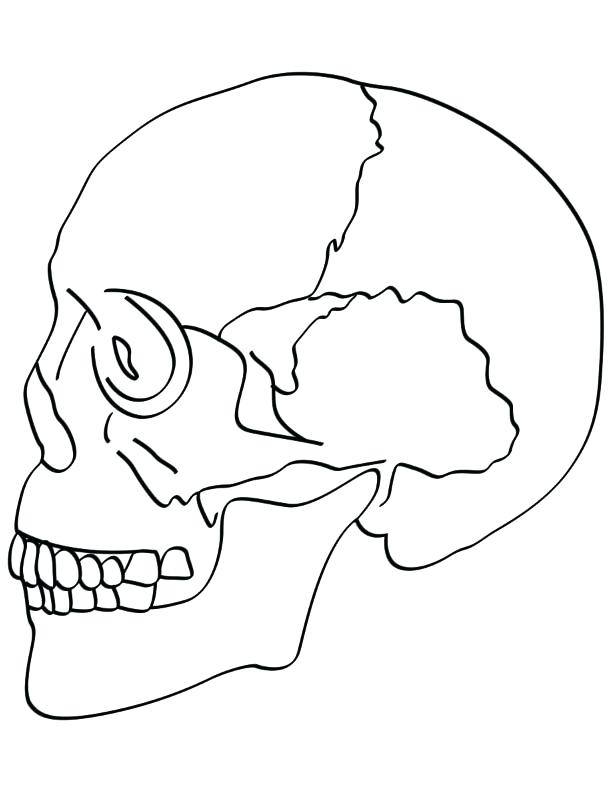 612x792 Skull Bones Coloring Pages Download Free Skull Bones Coloring
