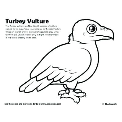 400x400 King Vulture Coloring Pages Kids Coloring Vulture Coloring Pages