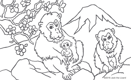 450x274 Animals In Legend Coloring Pages