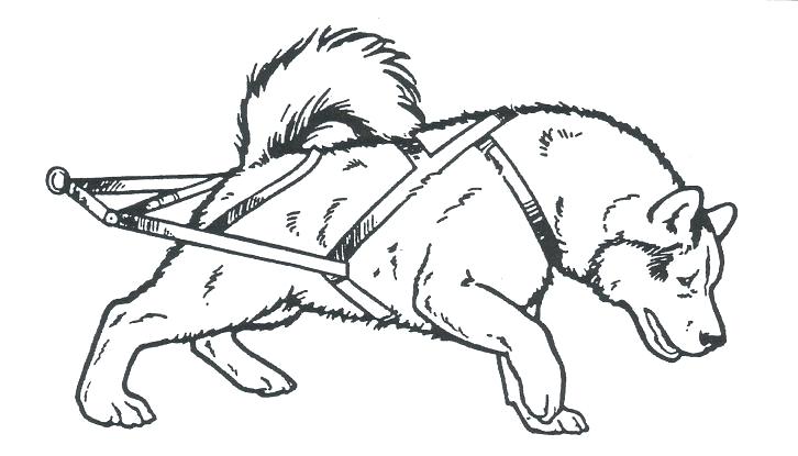 726x415 Dog Sled Coloring Pages Dog Sled Coloring Pictures Interconnect Site