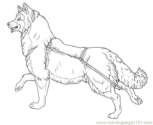 582x478 Dog Sled Coloring Pages Dog Color Pages Printable Dog Sled