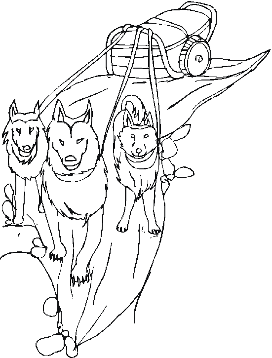 551x725 Dog Sled