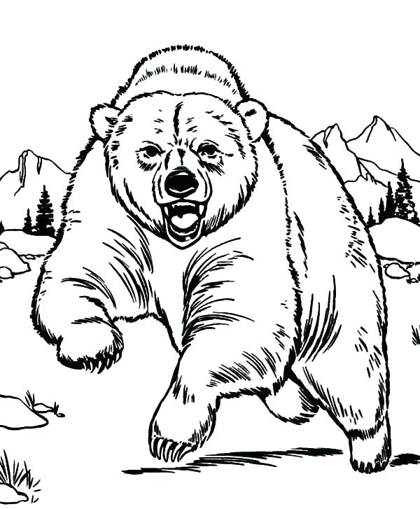 600x727 Hibernating Bear Coloring Page
