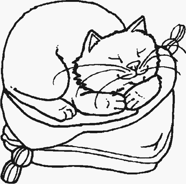 600x594 Cat Sleeping Domestic Animal Coloring Page
