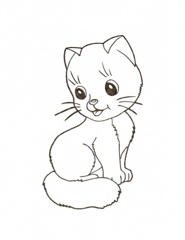 600x778 Kitty Cat, A Very Spoil Kitty Cat To Pet Coloring Page