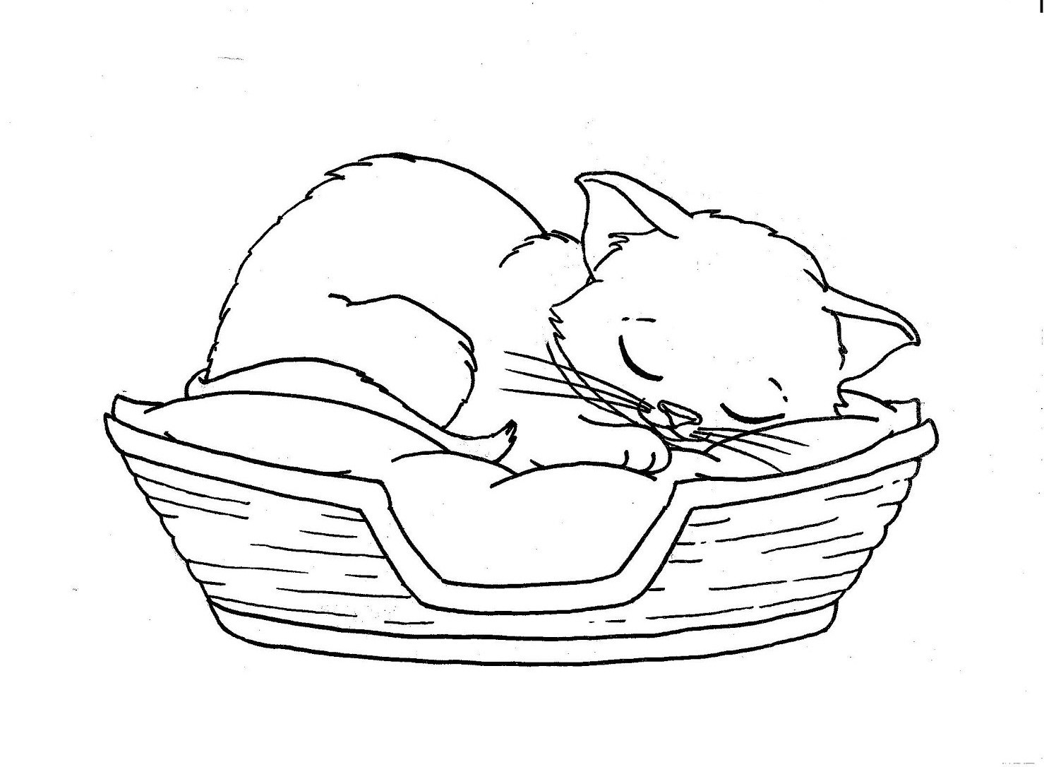1479x1086 Sleeping Cat Coloring Pages