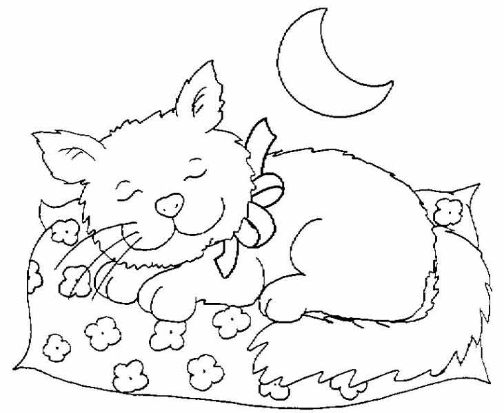 731x600 Sleeping Cat Printable Coloring Sheet For Kids
