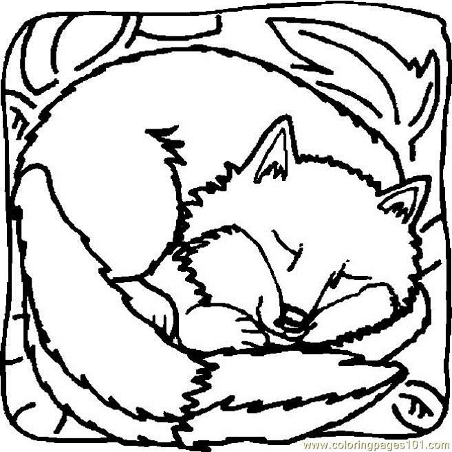 657x657 Fox Sleeping Coloring Page