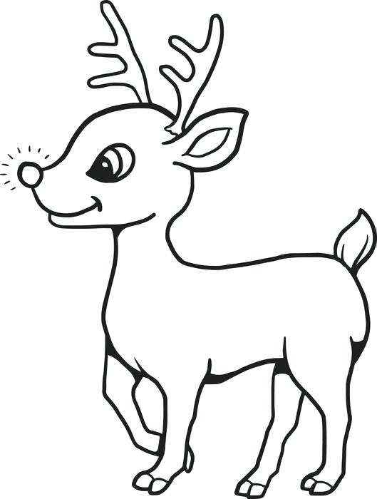 529x700 Coloring Pages Reindeer Coloring Page Coloring Page Reindeer