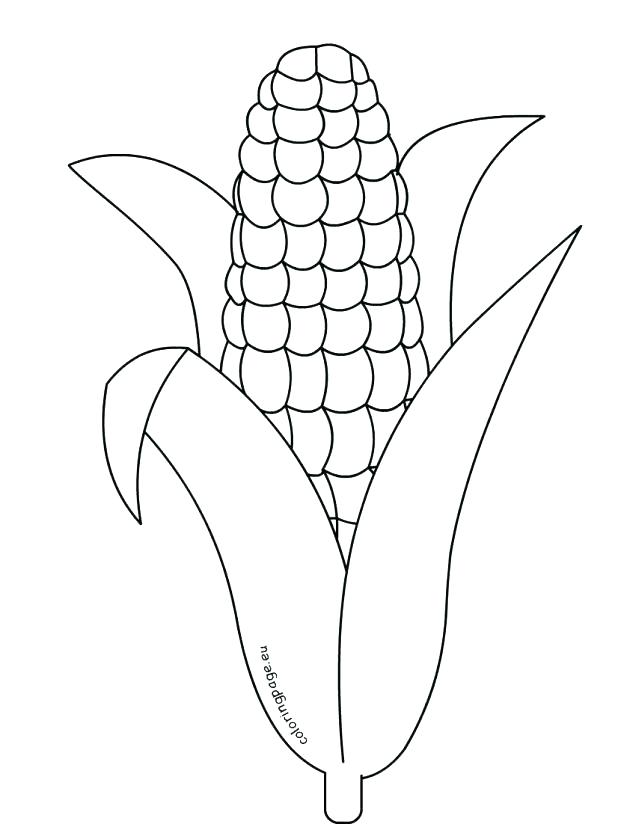 618x839 Corn Stalk Coloring Page Corn Stalk Coloring Page Click The Slices