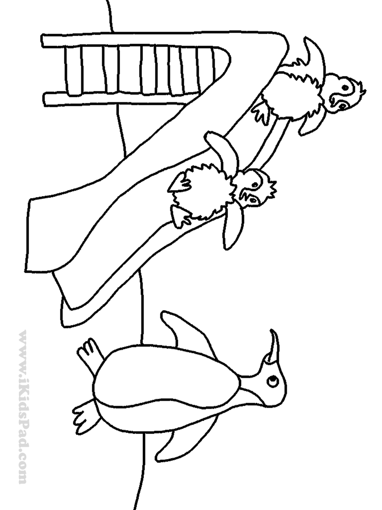768x1024 Water Slide Coloring Page