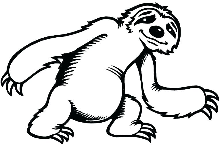 765x519 Sloth Coloring Page Sloth Coloring Pages Giant Sloth Coloring Net