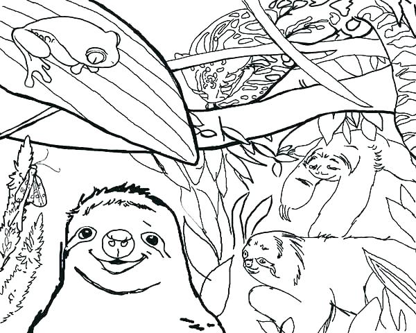 600x480 Sloth Coloring Pages Jungle Coloring Pages New Sloth Coloring Page