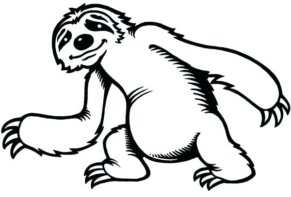 600x407 Sloth Coloring Pages Sloth Coloring Pages Cute Little Sloth