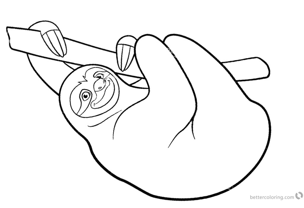 1024x700 Sloth Coloring Pages Three Toed Sloth