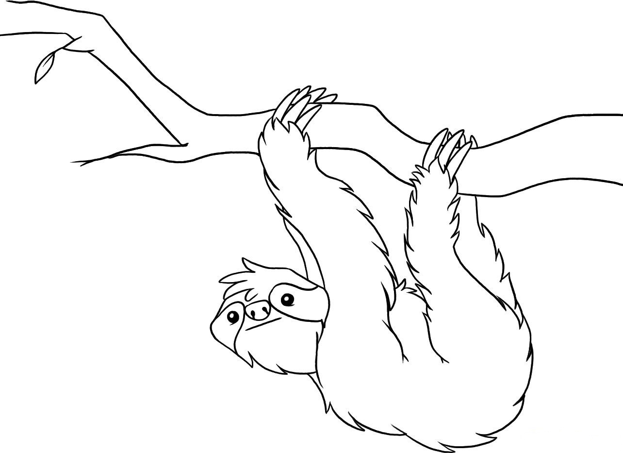 1284x933 Printable Sloth Coloring Pages Kids Coloring Pages Sloth Coloring