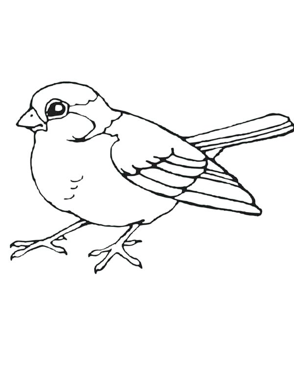 600x750 Coloring Pages Collection Page