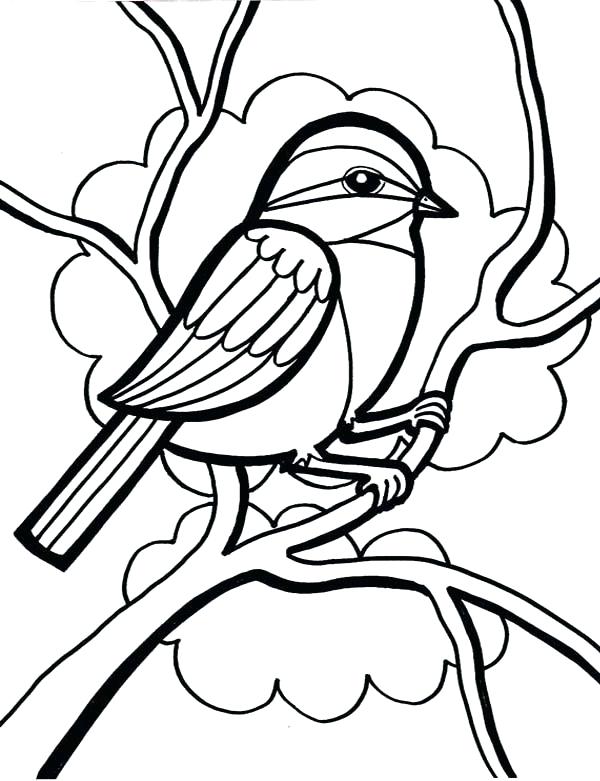 Small Bird Coloring Pages at GetDrawings | Free download