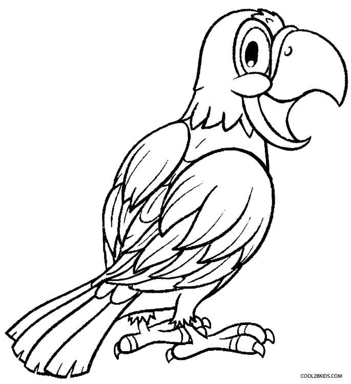 685x750 Printable Parrot Coloring Pages For Kids