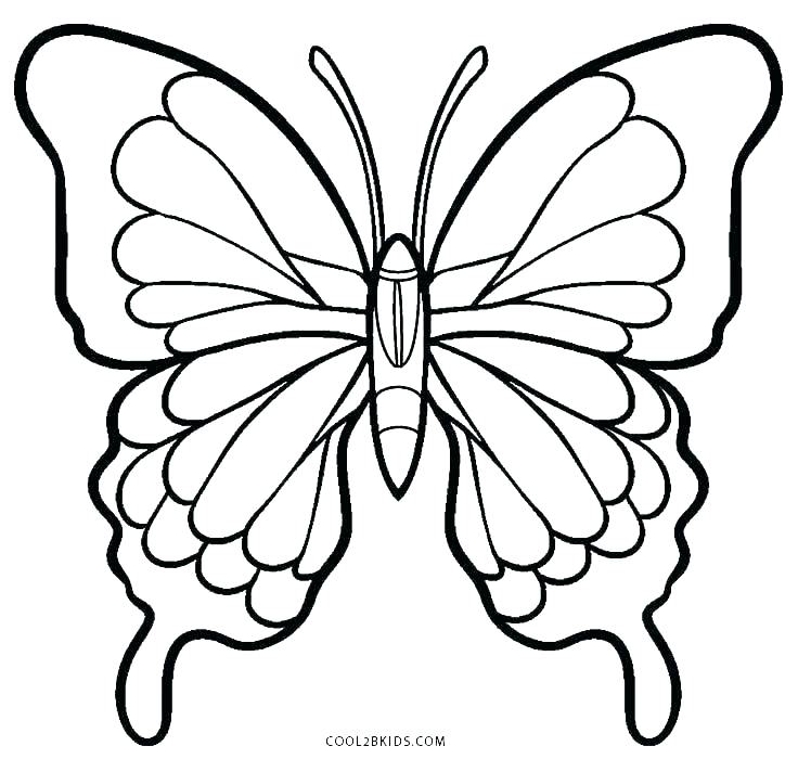 736x700 Butterfly Coloring Page Printable Butterfly Coloring Page Small