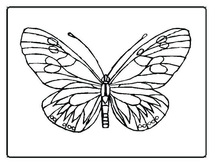 736x568 Butterfly Coloring Page Printable Coloring Page Of Butterfly