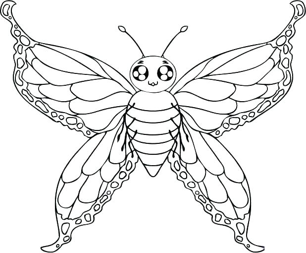 618x510 Butterfly Coloring Page Printable Small Butterfly Coloring Pages