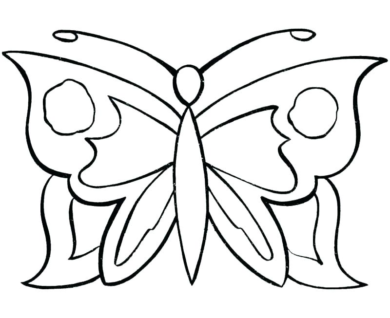 800x653 Small Butterfly Coloring Pages S S Small Butterfly Coloring Sheets