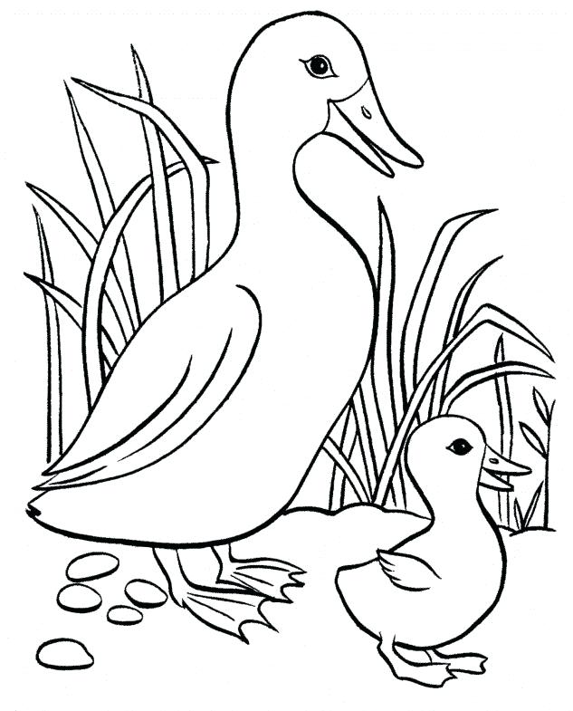 633x785 Big And Small Coloring Pages Small Coloring Pages Small Butterfly