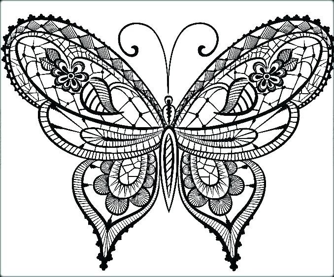 678x562 Butterflies Coloring Pages Small Butterfly Coloring Pages