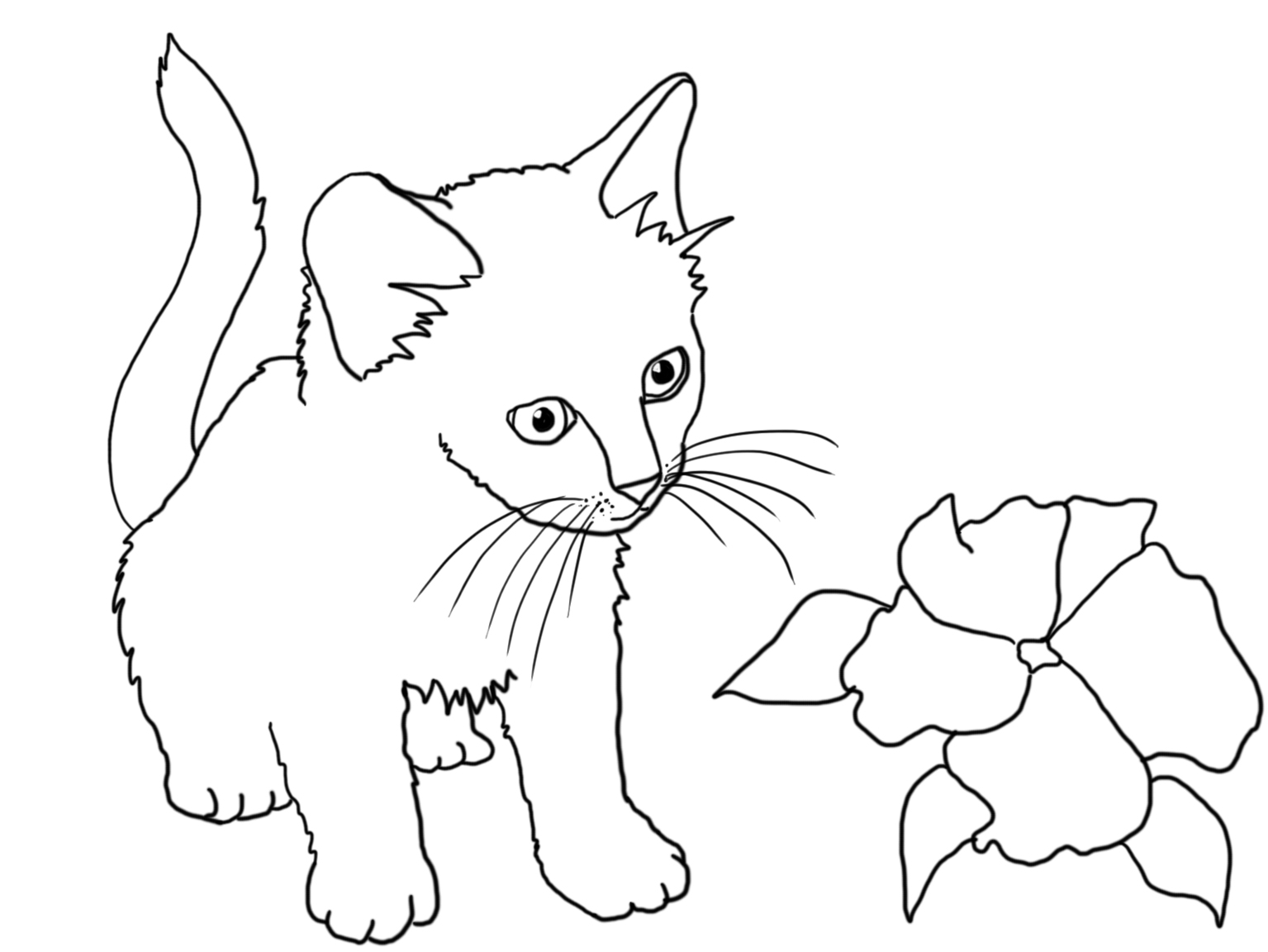 1535x1152 Cat Coloring Pages