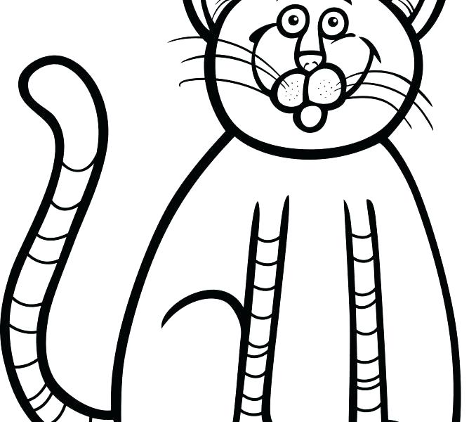678x600 Kitten Coloring Book As Well As Cat Coloring Pages Here Is A Small