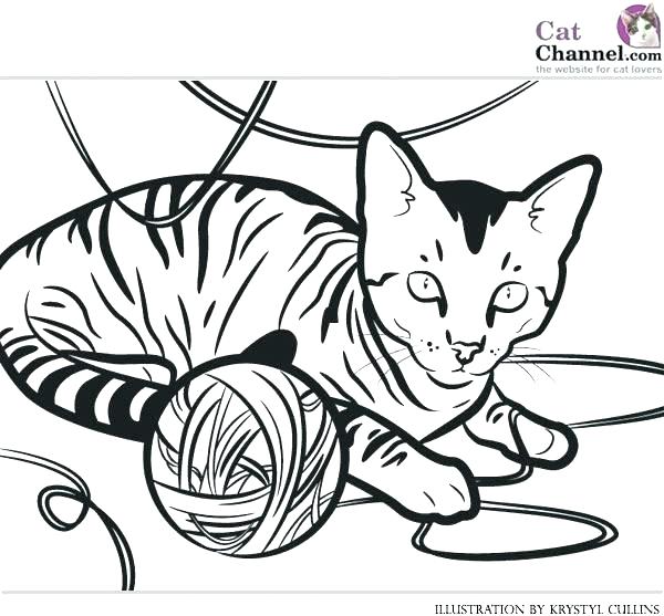 600x557 Cat Coloring Pages