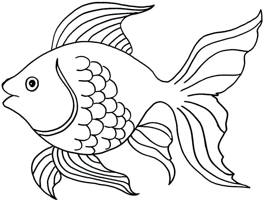 850x644 Small Fish Coloring Pages