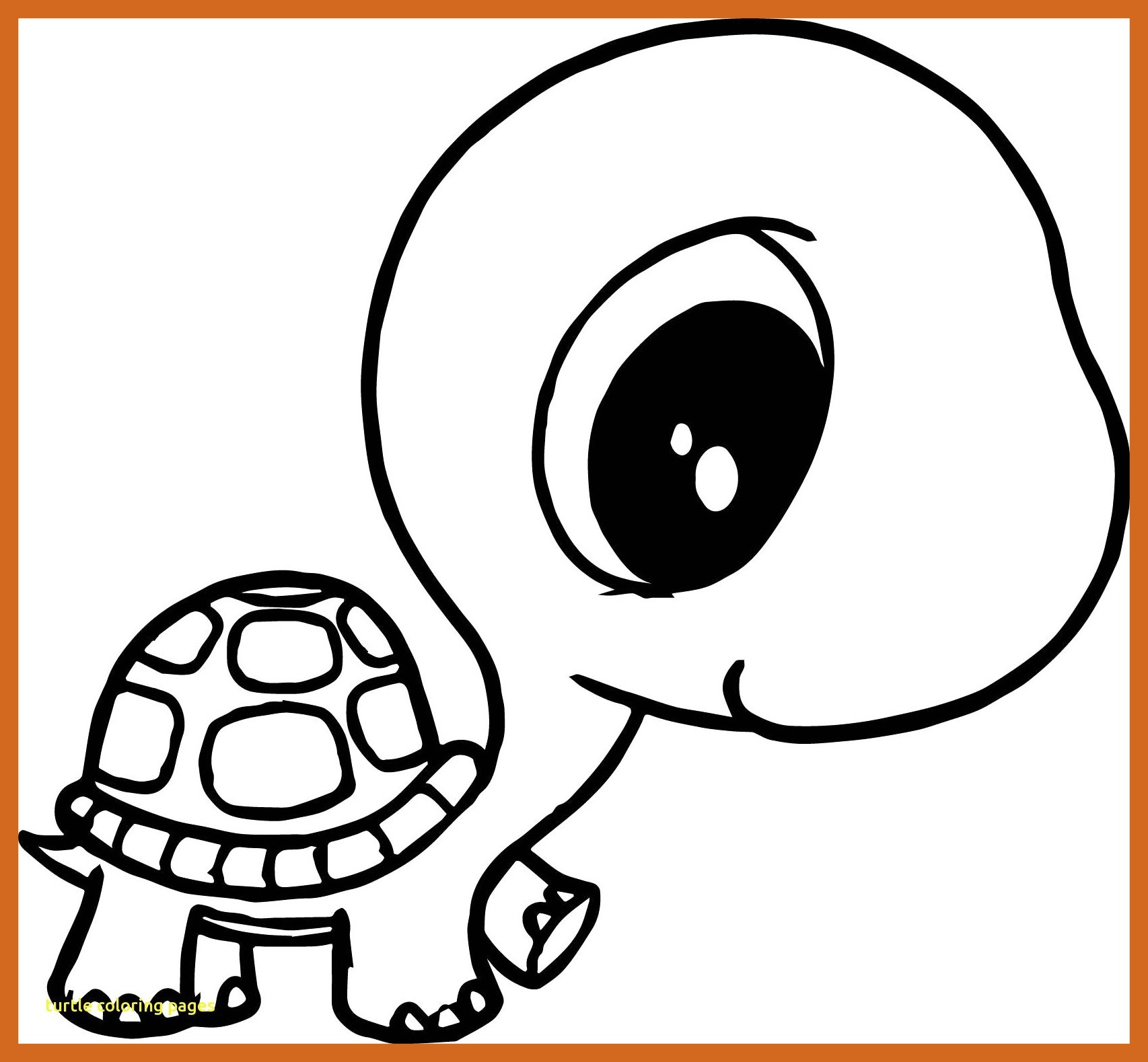 1706x1579 Fascinating Small Coloring Pages Turtle With Big Head Body