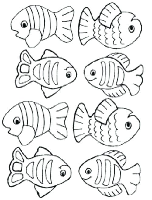 500x656 Trout Fish Coloring Pages Small Fish Coloring Pages For Kids Title