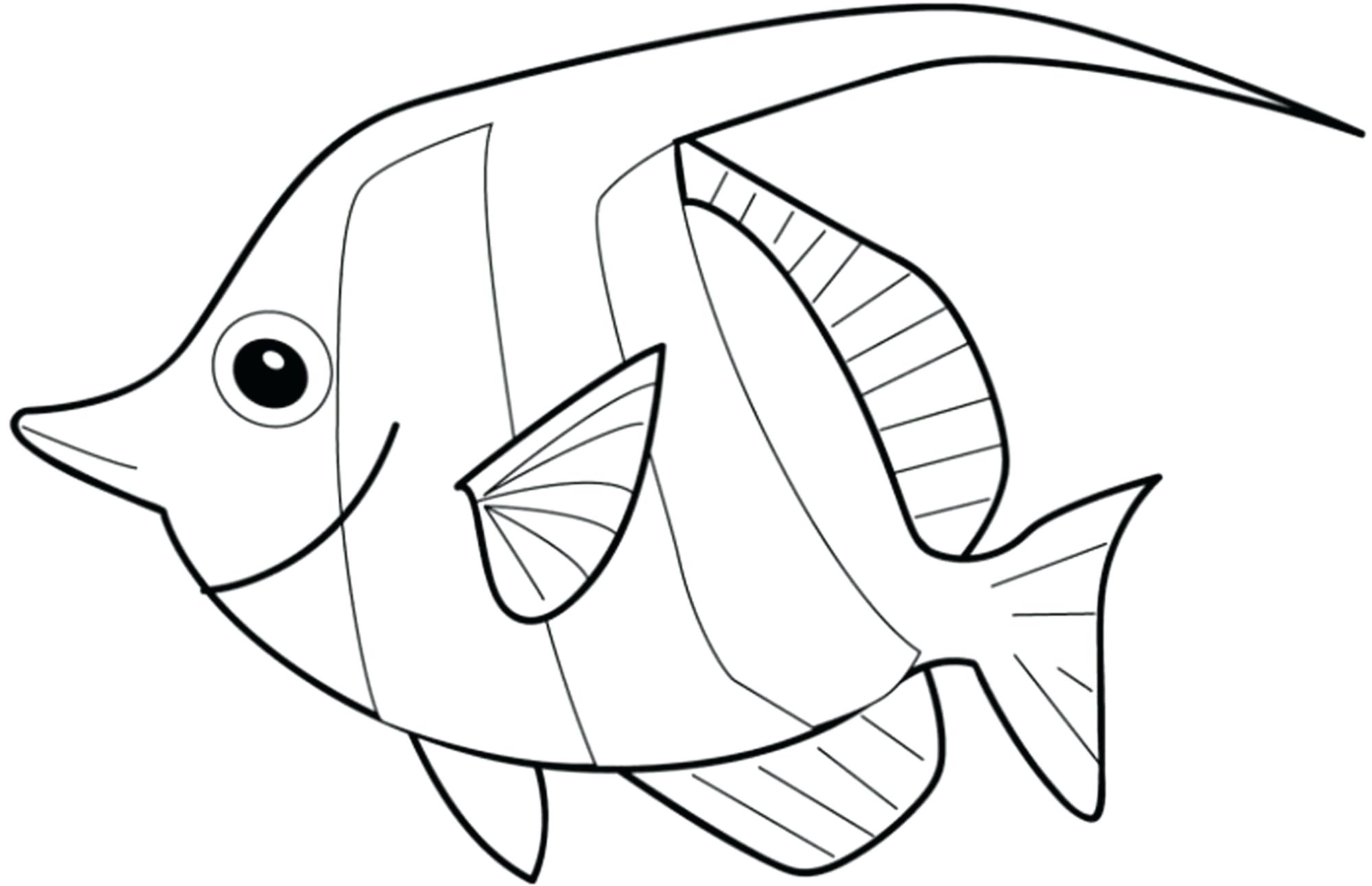 2000x1291 Small Fish Coloring Pages Coloring Pages Printable