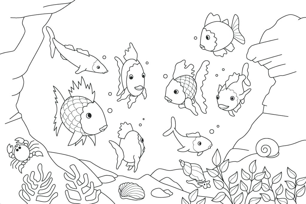 1024x683 Small Fish Coloring Pages For Kids Title Down