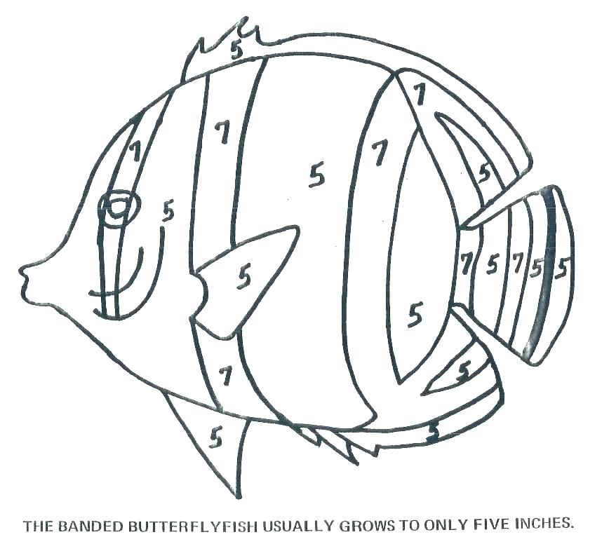 878x796 Small Fish Coloring Pages Small Fish Pictures To Colour Bass