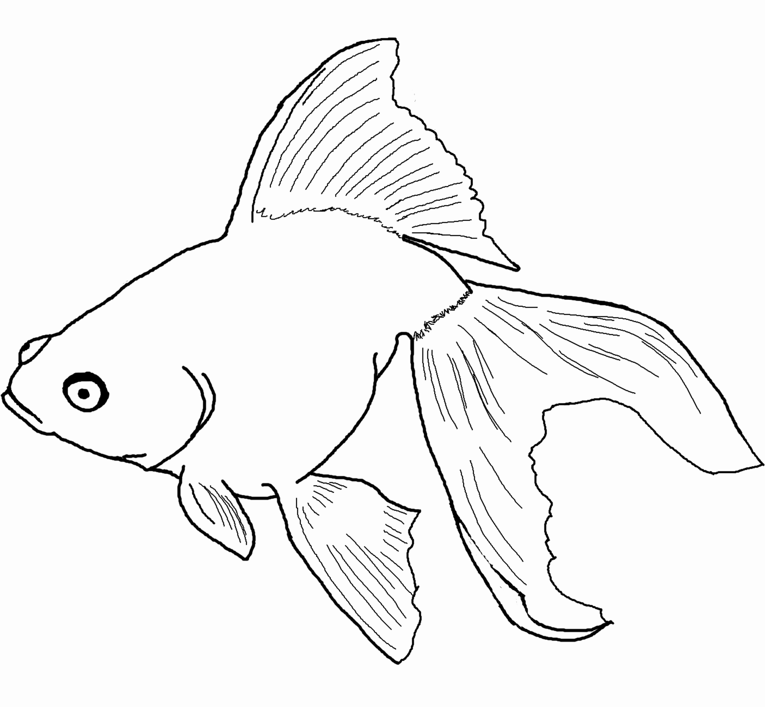 2596x2400 Town Coloring Pages Best Of Small Fish Coloring Pages Coloring