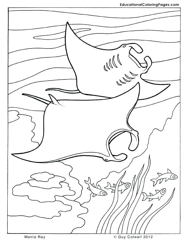612x792 X Ray Fish Coloring Page Fish Images To Color Coloring Pages Fish