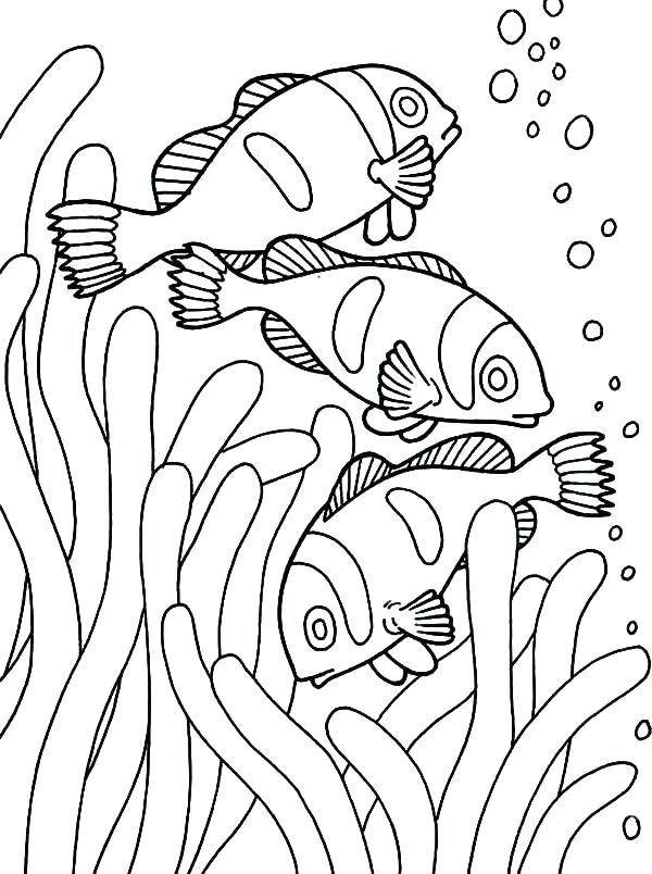 600x804 Fish Coloring Pages For Preschoolers