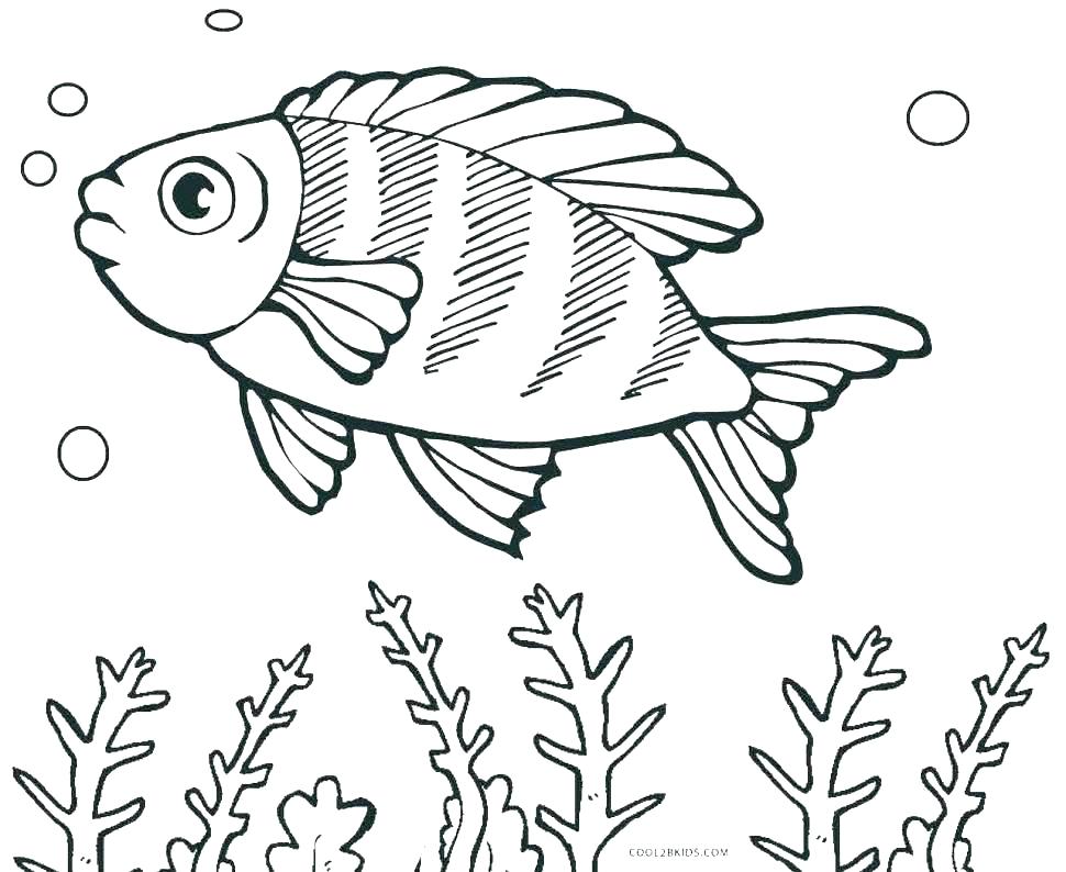 970x794 Small Flower Coloring Pages