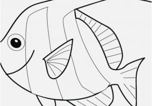 300x210 Fish Coloring Pages Portraits Small Fish Coloring Pages Coloring
