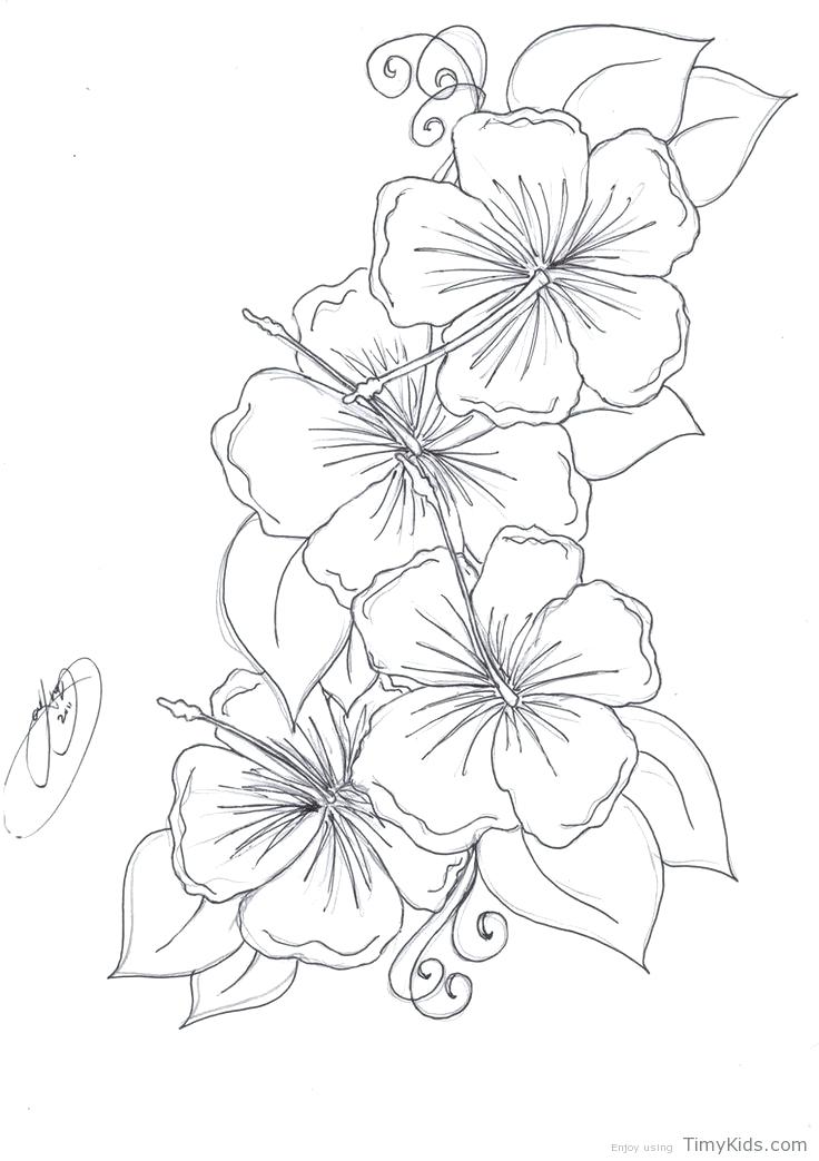 736x1043 Flower Color Pages Beautiful Flower Coloring Pages Small Flowers