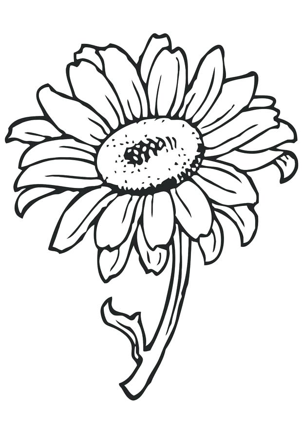 620x875 Free Flower Coloring Pages Sunflower To Color Free Printable Small
