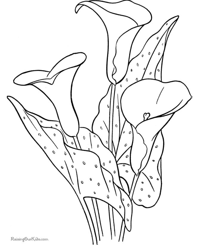 670x820 Coloring Pages Flowers New Big Flower Coloring Pages Flower