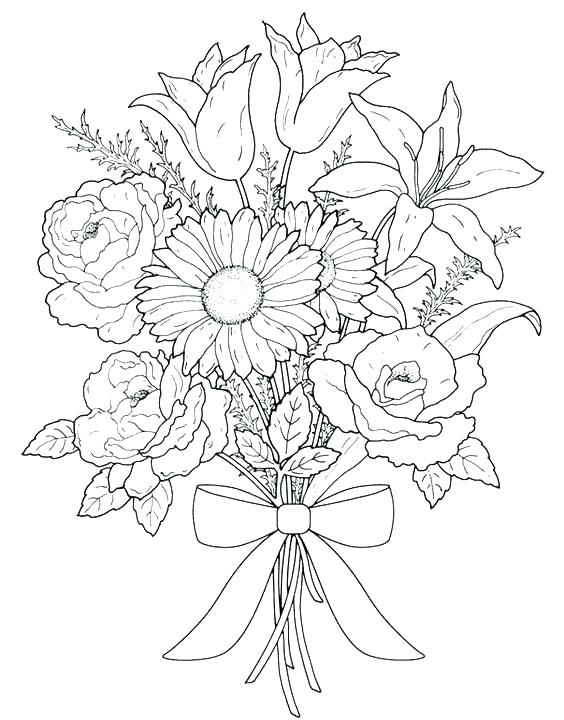 564x720 Small Printable Coloring Pages Flower Color Pages Sunflower Flower