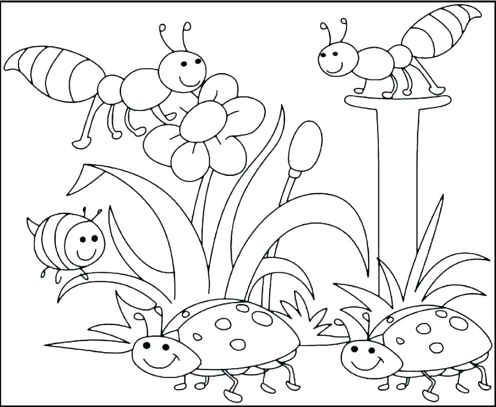 970x796 Spring Flower Coloring Pages